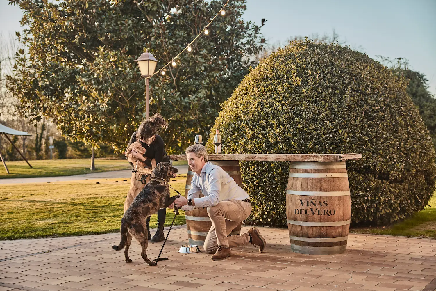 Enoturismo con perros Ruta del Vino Somontano (4)