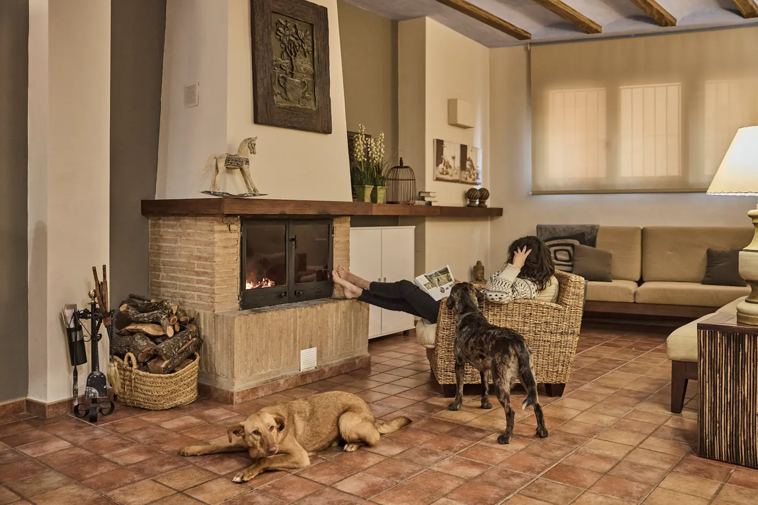 Enoturismo con perros Ruta del Vino Somontano (7)