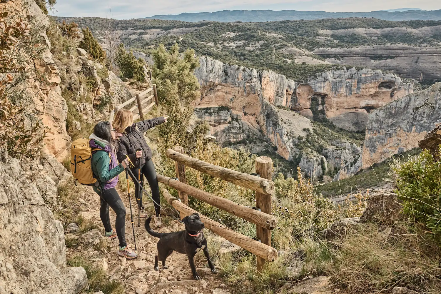 Enoturismo con perros Ruta del Vino Somontano alrededores