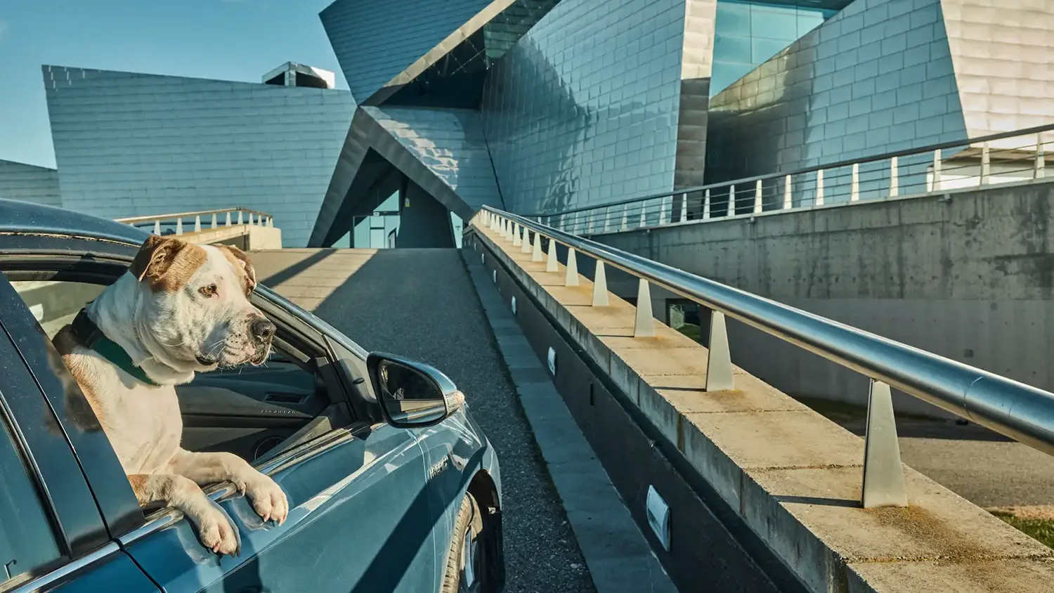 Enoturismo con perros destacada