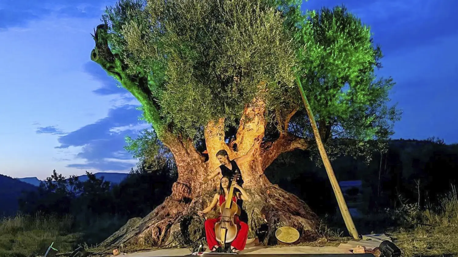 Tierra de Centenarias destacada